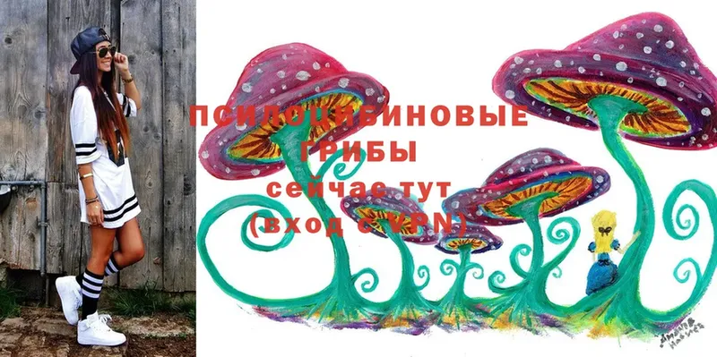 Псилоцибиновые грибы Cubensis  где можно купить наркотик  Губкинский 